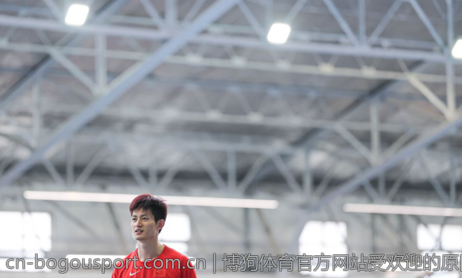 博狗体育官方网站受欢迎的原因深度解析