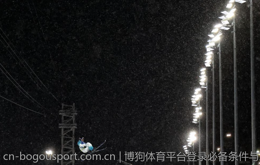 博狗体育平台登录必备条件与准备
