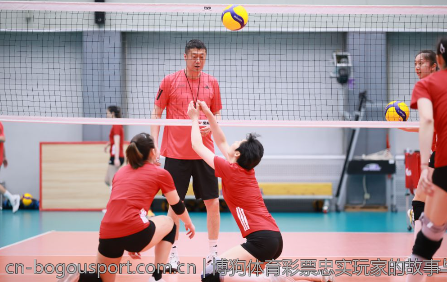 博狗体育彩票忠实玩家的故事与见解