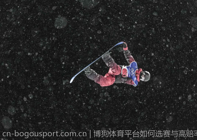 博狗体育平台如何选赛与高赔率分析