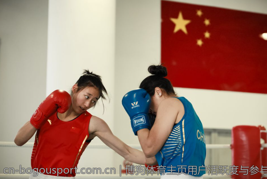 博狗体育主页用户活跃度与参与度统计