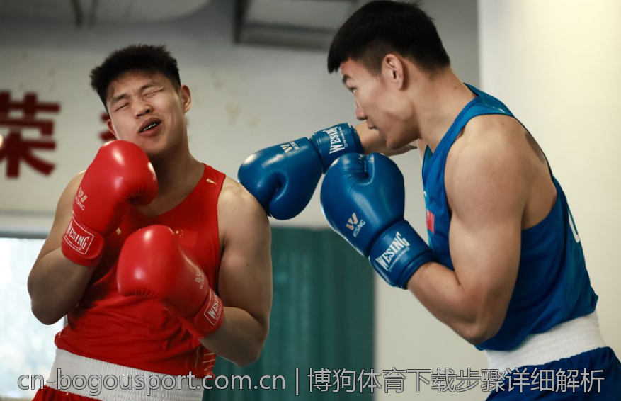 博狗体育下载步骤详细解析