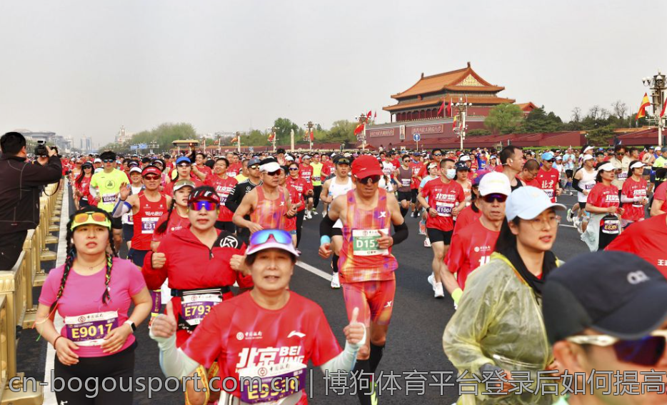 博狗体育平台登录后如何提高投注成功率