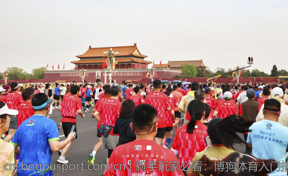 新手玩家必看：博狗体育入门指南